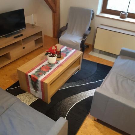 Apartma Doubek โรกีนีซ นัด ยีเซอโร ภายนอก รูปภาพ